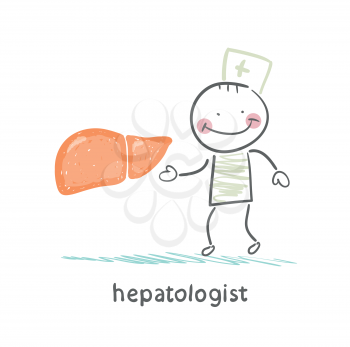 hepatologist with the liver
