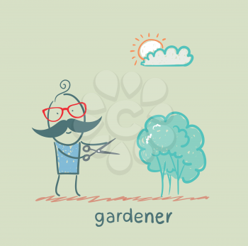 Gardener cuts a bush