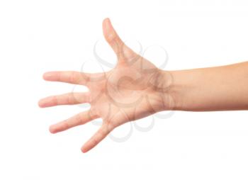 Human hand five fingers