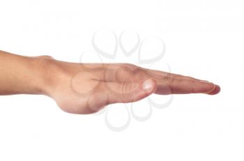 Human hand with palm down
