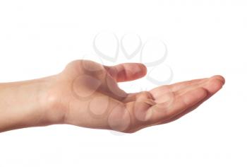 Friendly human hand on white background