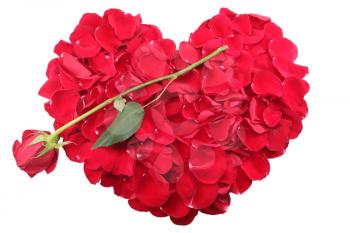 Heart shape of red rose petals with a red rose