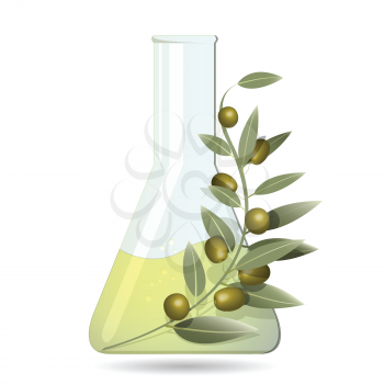 Royalty Free Clipart Image of Olive Oil and a Branch