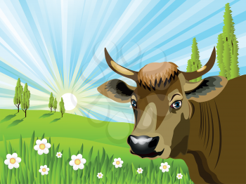 Royalty Free Clipart Image of a Cow in a Field