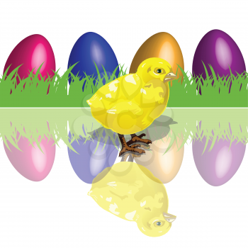 Royalty Free Clipart Image of a Chicken and Colorful Eggs