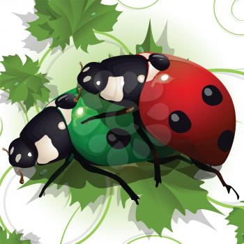 Royalty Free Clipart Image of Two Ladybugs