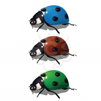 Royalty Free Clipart Image of Ladybugs