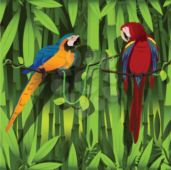 Royalty Free Clipart Image of Two Parrots
