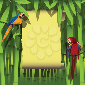 Royalty Free Clipart Image of Two Parrots