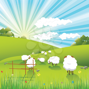Royalty Free Clipart Image of Sheep in a Field