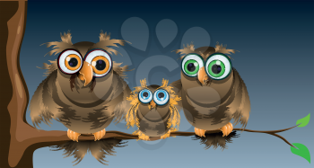 Royalty Free Clipart Image of an Owl Family on a Branch