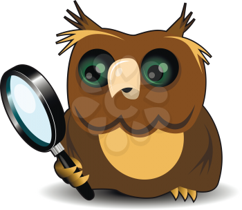 Illustration curious owl with a magnifying glass