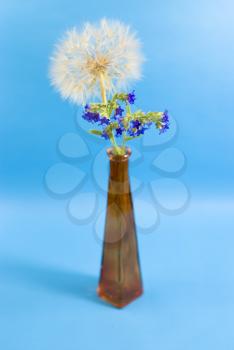 Royalty Free Photo of a Dandelion and Flowers in a Vase