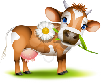 Royalty Free Clipart Image of a Jersey Cow Eating a Daisy