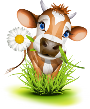 Royalty Free Clipart Image of a Jersey Cow