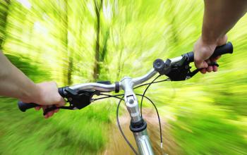 Royalty Free Photo of a Bike Riding Through a Forest