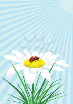 Royalty Free Clipart Image of a Ladybug on a Flower