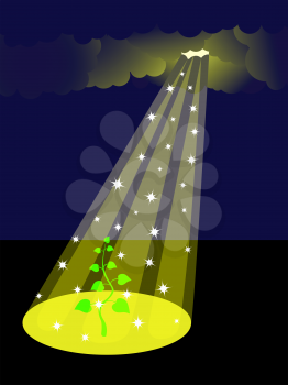 Royalty Free Clipart Image of a Ray of Sunshine on a Plant
