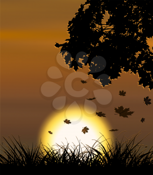Autumn sunset vector background with falling maple leaves. No transparency.