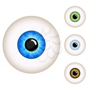 Human eye with color variants isolated on white background.