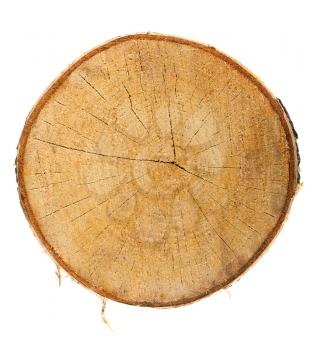 Royalty Free Photo of a Top View of a Tree Stump