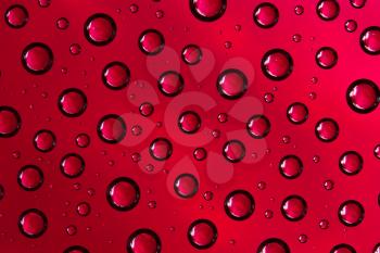 Royalty Free Photo of Water Drops on a Smooth Background