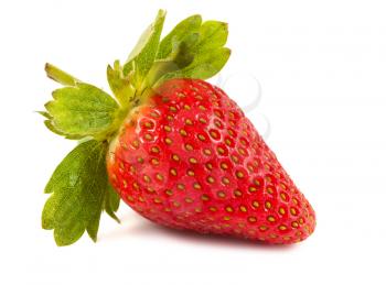 Royalty Free Photo of a Fresh Ripe Strawberry