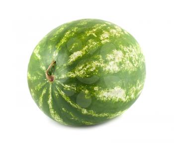 Royalty Free Photo of a Whole Watermelon