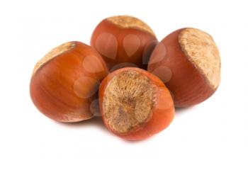 Royalty Free Photo of a Bunch of Ripe Hazelnuts