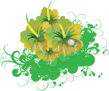 Royalty Free Clipart Image of Hibiscus Flowers
