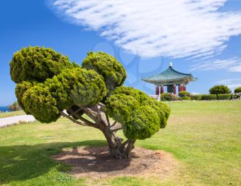 Royalty Free Photo of the Korean Bell of Friendship Pagoda and Park in San Pedro, California