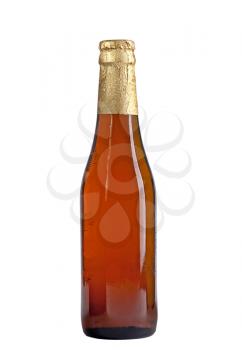 Royalty Free Photo of a Bottle of Beer