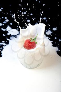 Royalty Free Photo of a Strawberry in Splashed Milk