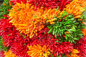 Multicolored chili pepper bunches on the Venice market, Italy
