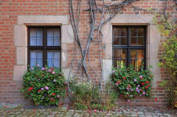 House windows with flowers, vines and brick wall in Nuremberg, Germany
