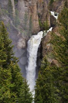 Royalty Free Photo of the Tower Fall In The Yellowstone National Park,USA