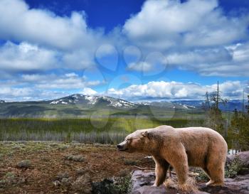 Royalty Free Photo of a Mountain Landscape With a Bear