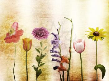 Grunge Image Of Spring Flowers For Background
