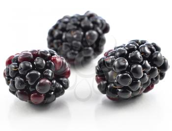 blackberries on white background