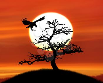 Tree Silhouette And A Bird Against Colorful Sunset