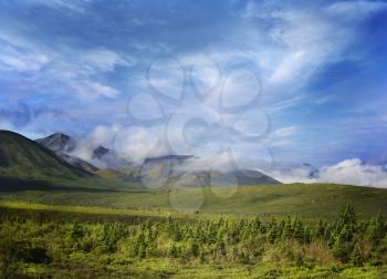  Alaska Landscape In Denali National Park