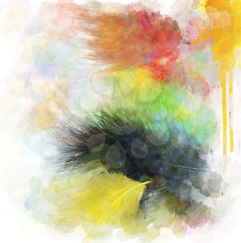 Watercolor Digital Painting Of Feathers Background