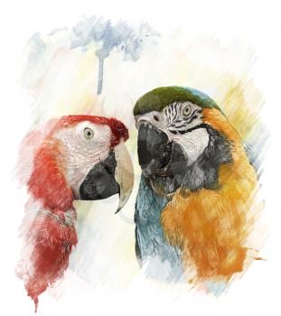 Watercolor Digital Painting Of Two Colorful Parrots