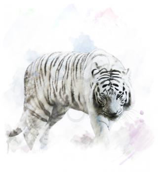 Watercolor Digital Painting Of White Tiger Portrait