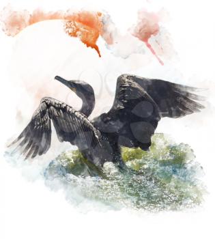 Watercolor Digital Painting Of  A Double-crested Cormorant