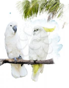 Digital Painting Of White Parrots