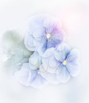 Digital Painting Of Blue Violets Flowers
