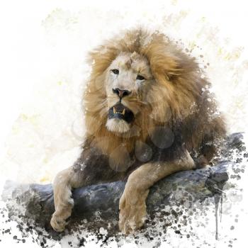 digital painting of  resting lion