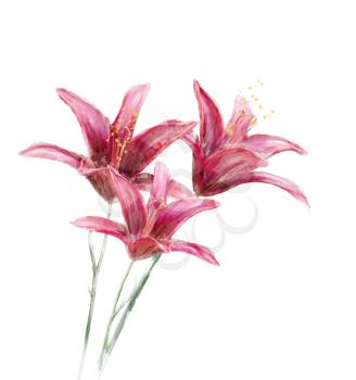 digital painting of  Red Lily Flowers