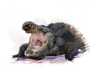 Digital Painting of  Large Alligator
